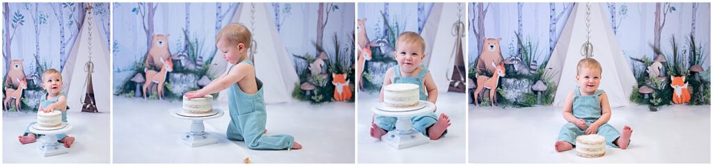 tallahassee cake smash photography