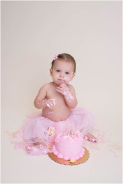 pink tutu first birthday portraits