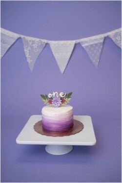 purple bunting ombre cake birthday photos