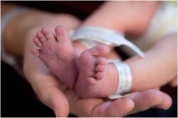 newborn baby feet