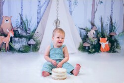 woodland animals teepee cake smash