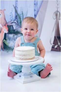 woodland animals cake smash