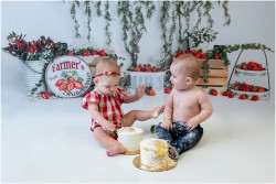 tallahassee twin strawberry cake smash session